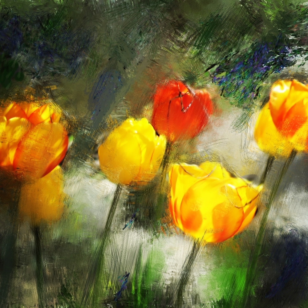 Watercolor Print of Tulips in Home and Living